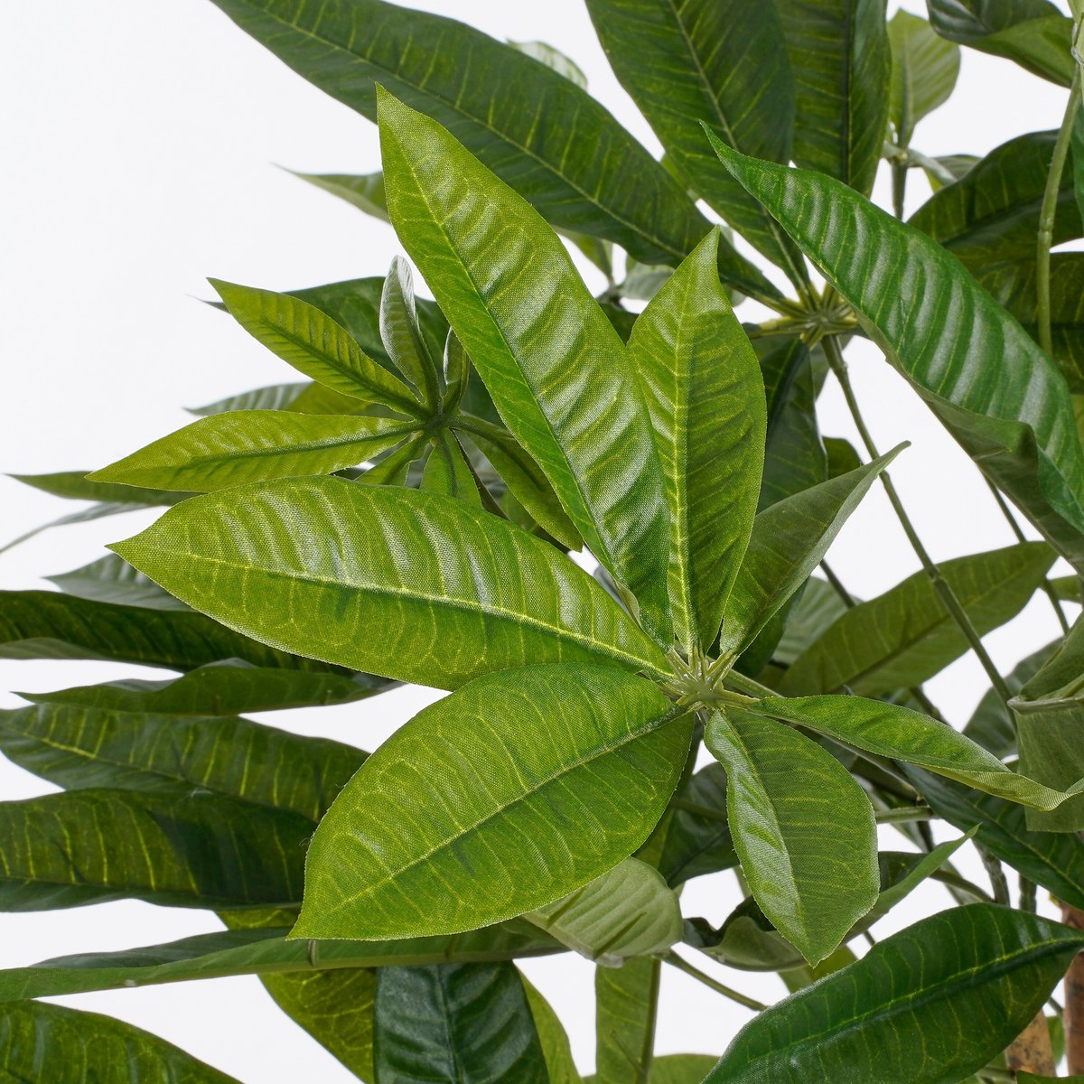 Plante artificielle PACHIRA vert, MICA DECORATIONS
