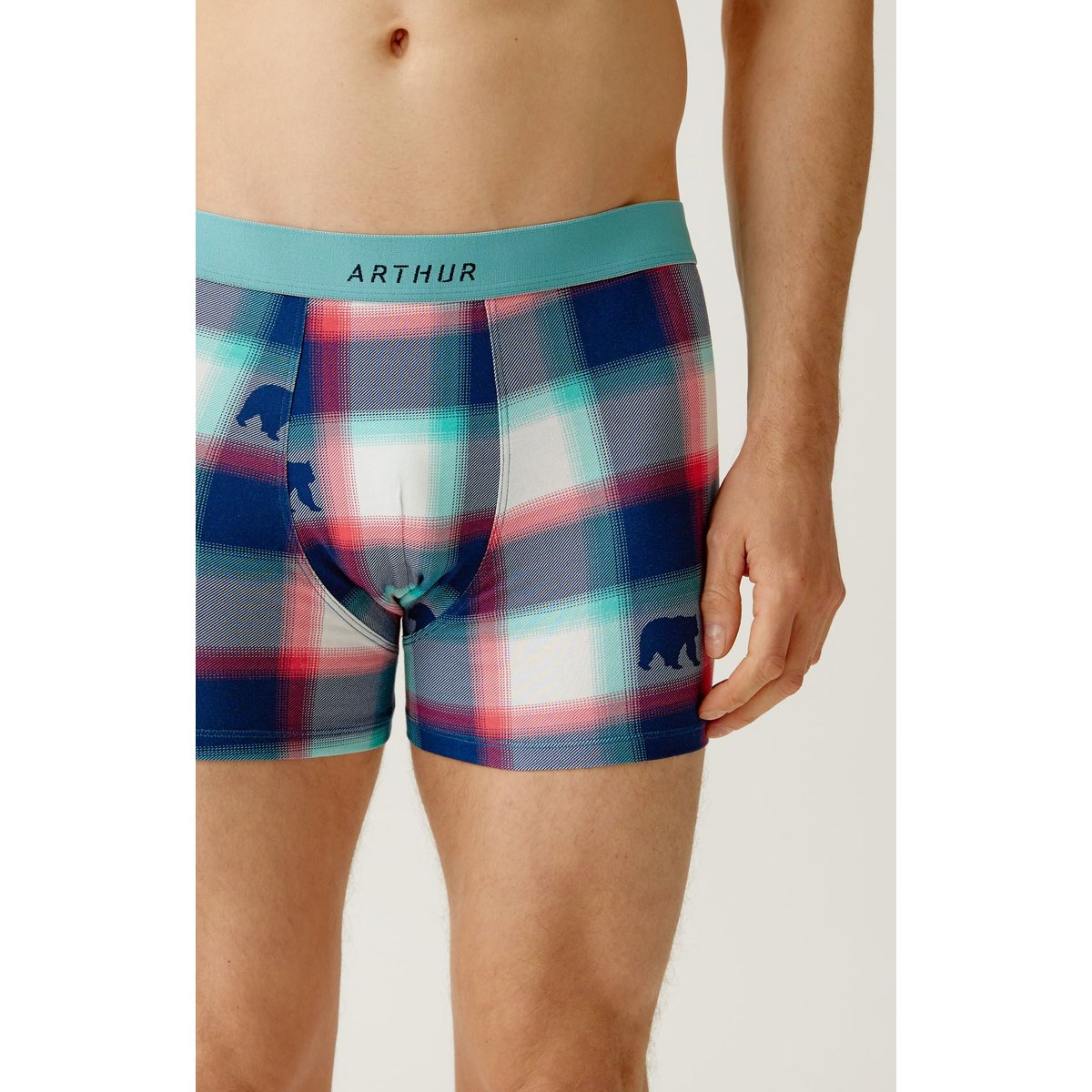 Boxer en coton imprimé Bear multicolore, ARTHUR