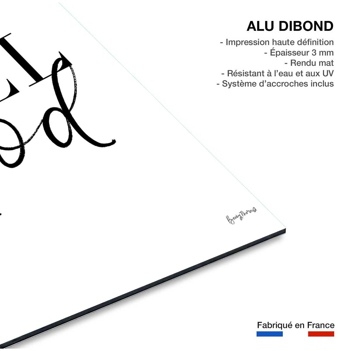 Tableau feel good tableau alu dibond, HEXOA
