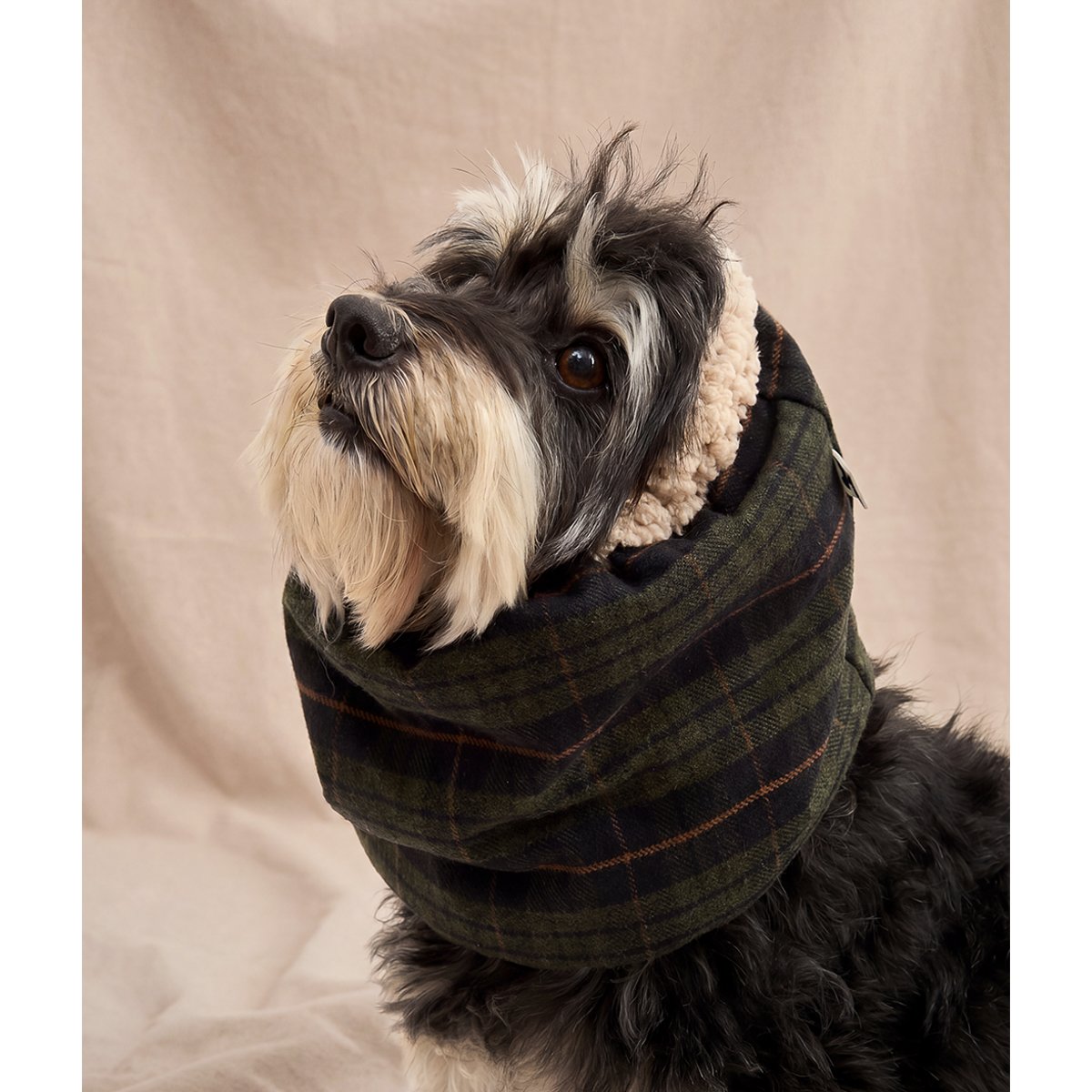 Snood tartan vert pour chien, Olga vert, CAFIDE