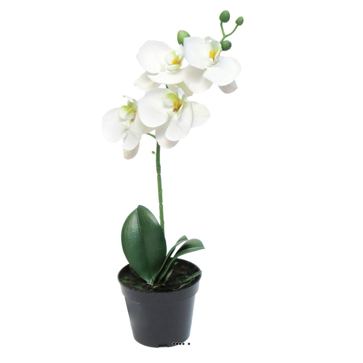 Orchidée Phalaenopsis factice en pot qualité crème, ARTIFICIELLES