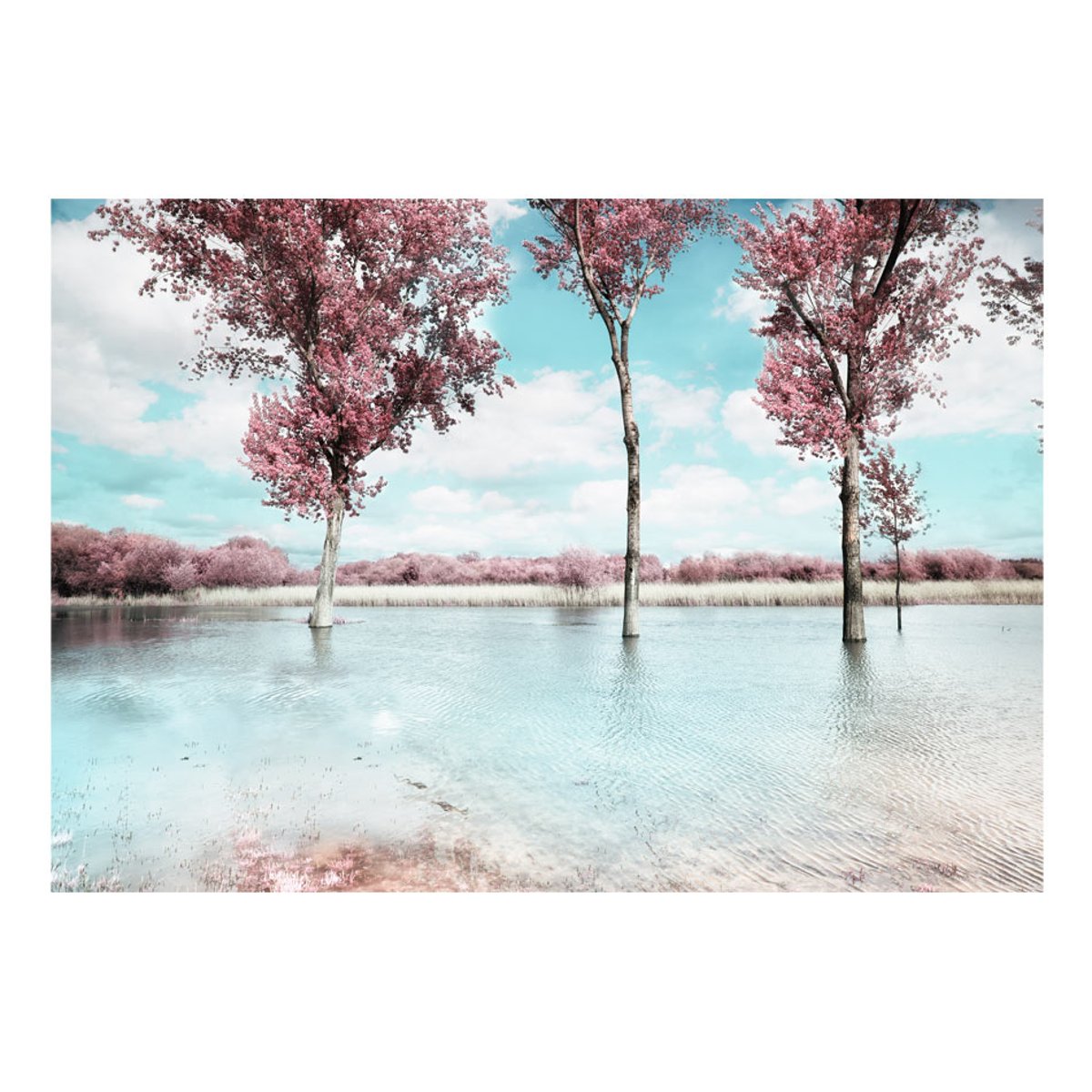 Papier peint intissé panoramique Paysage Autumn scenery blanc, EDEN