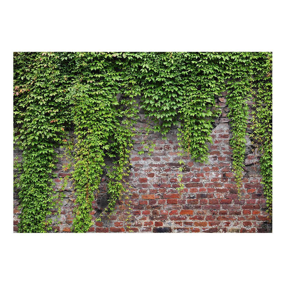 Papier peint intissé panoramique Briques et lierres vert, EDEN