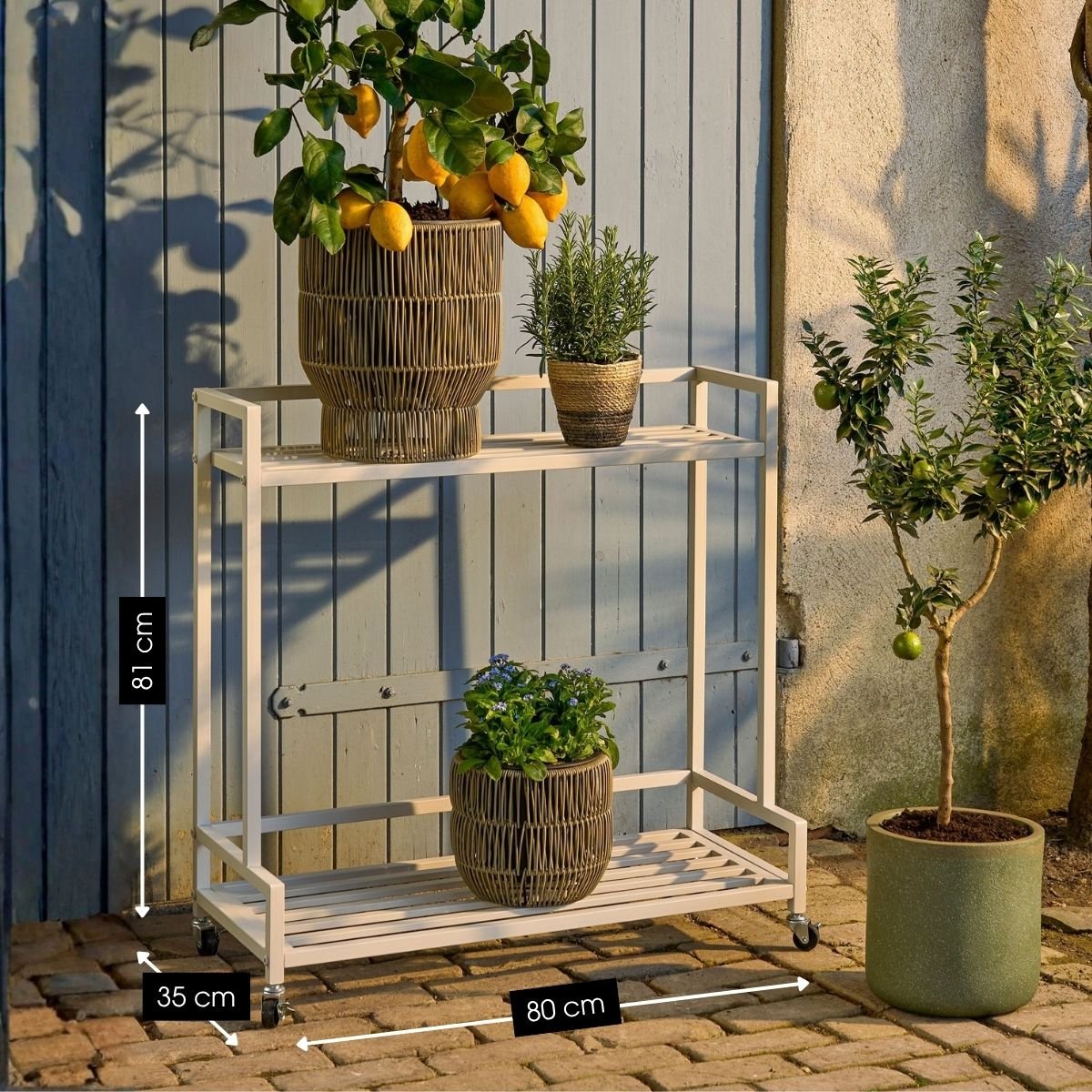 Support pour plantes GREENRAX blanc cassé, MICA DECORATIONS