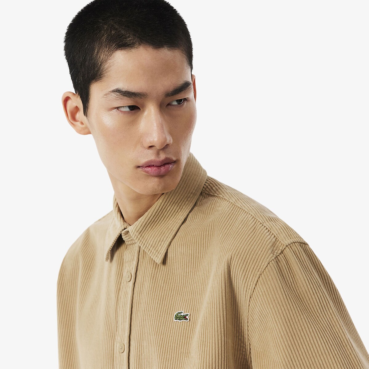 Chemise en velours, Regular Fit beige, LACOSTE