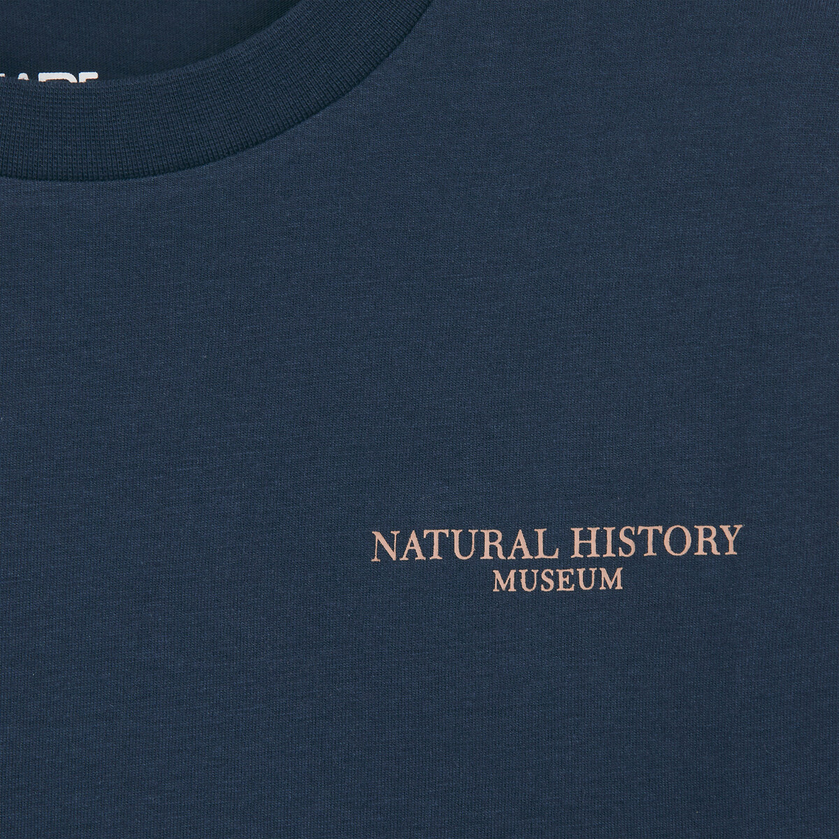 T-shirt à manches longues, imprimé dinosaure au dos bleu marine, LA REDOUTE COLLECTIONS