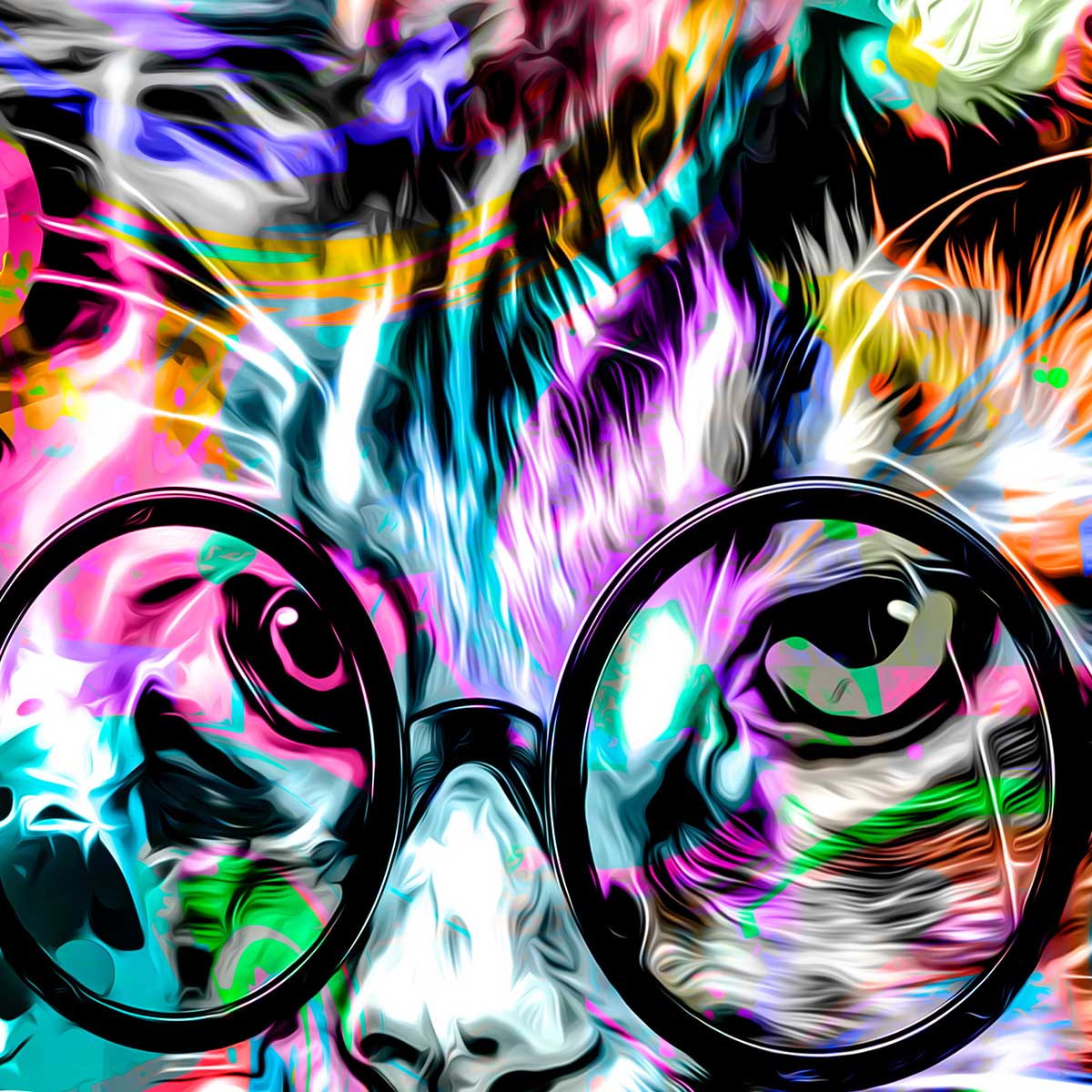 Affiche encadrée chat pop art coloré affiche + cadre en métal - noir, HEXOA
