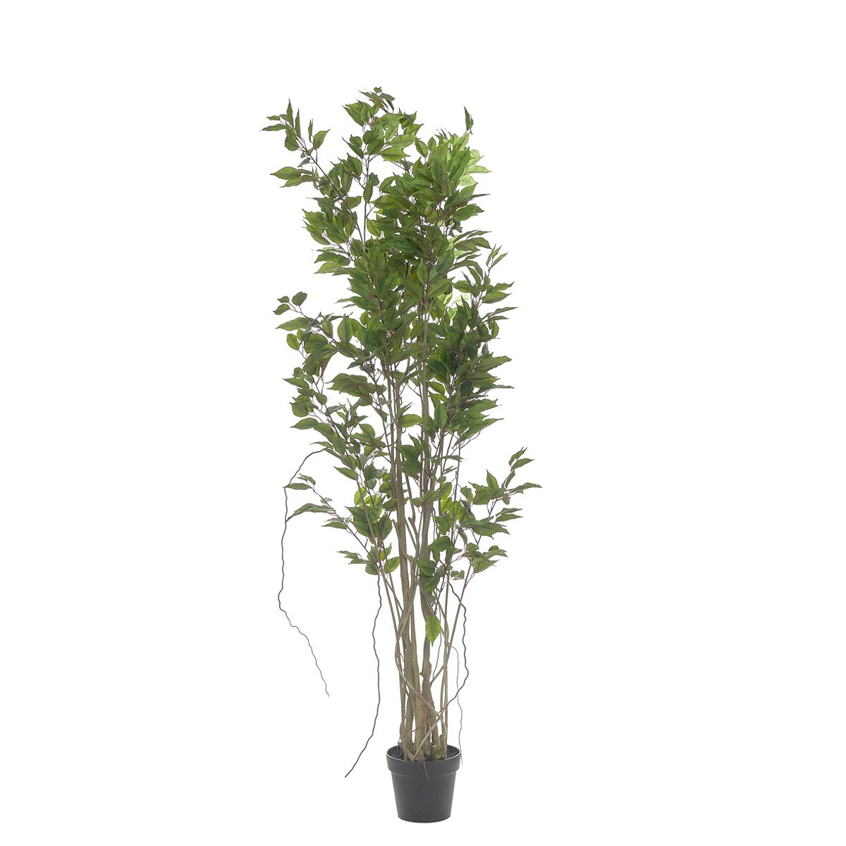 Planta artificial "Ficus" 190cm, BORGHESI verde, BORGHESI