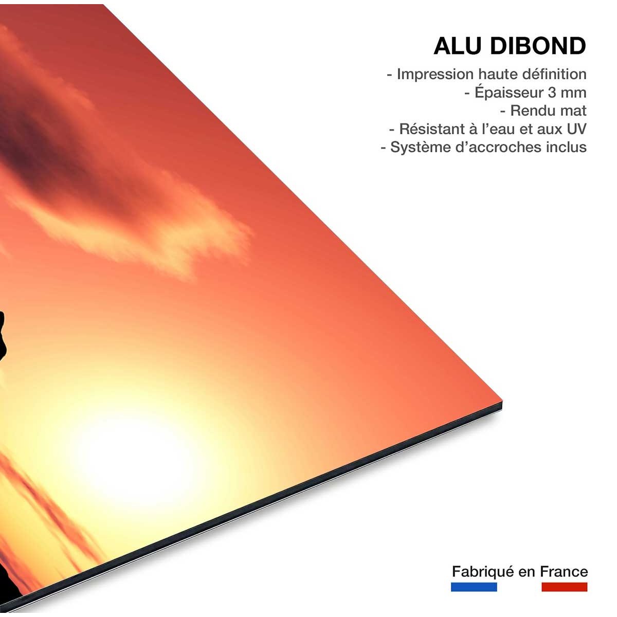 Tableau africain famille éléphants tableau alu dibond, HEXOA