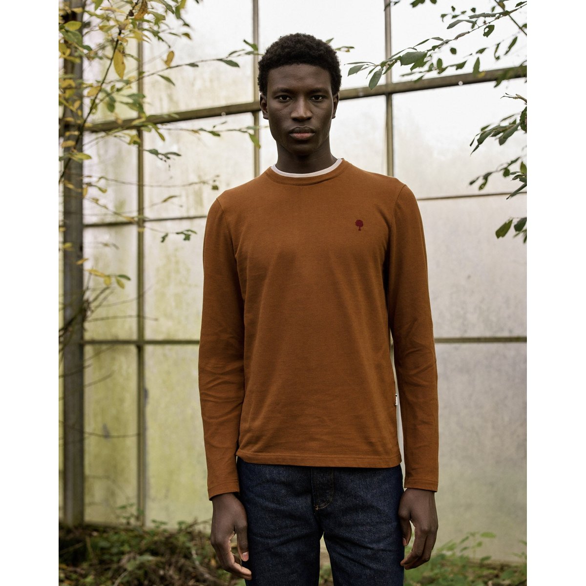 T-shirt coton BAILLY rouille, FAGUO