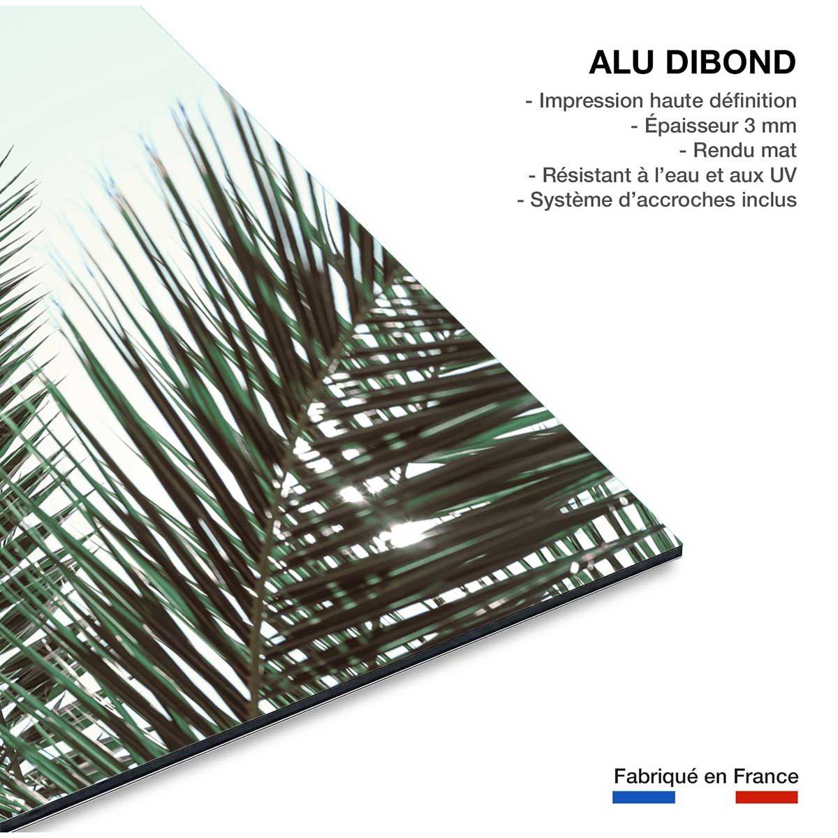 Tableau palme verte tableau alu dibond, HEXOA