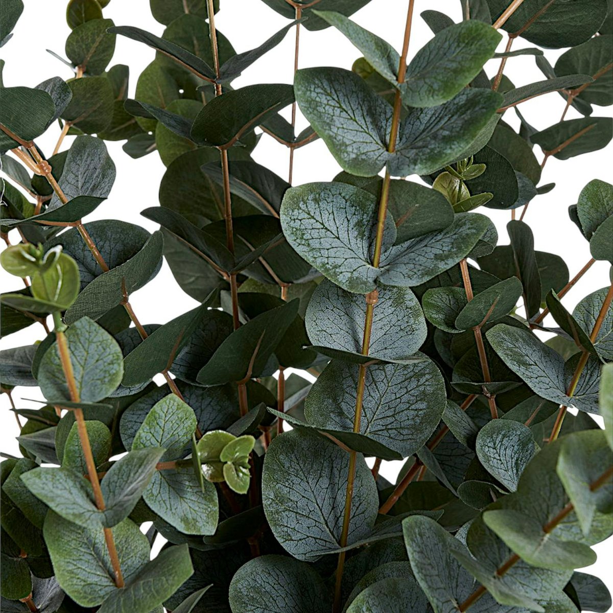 Eucalyptus artificiel en pot vert, PIER IMPORT