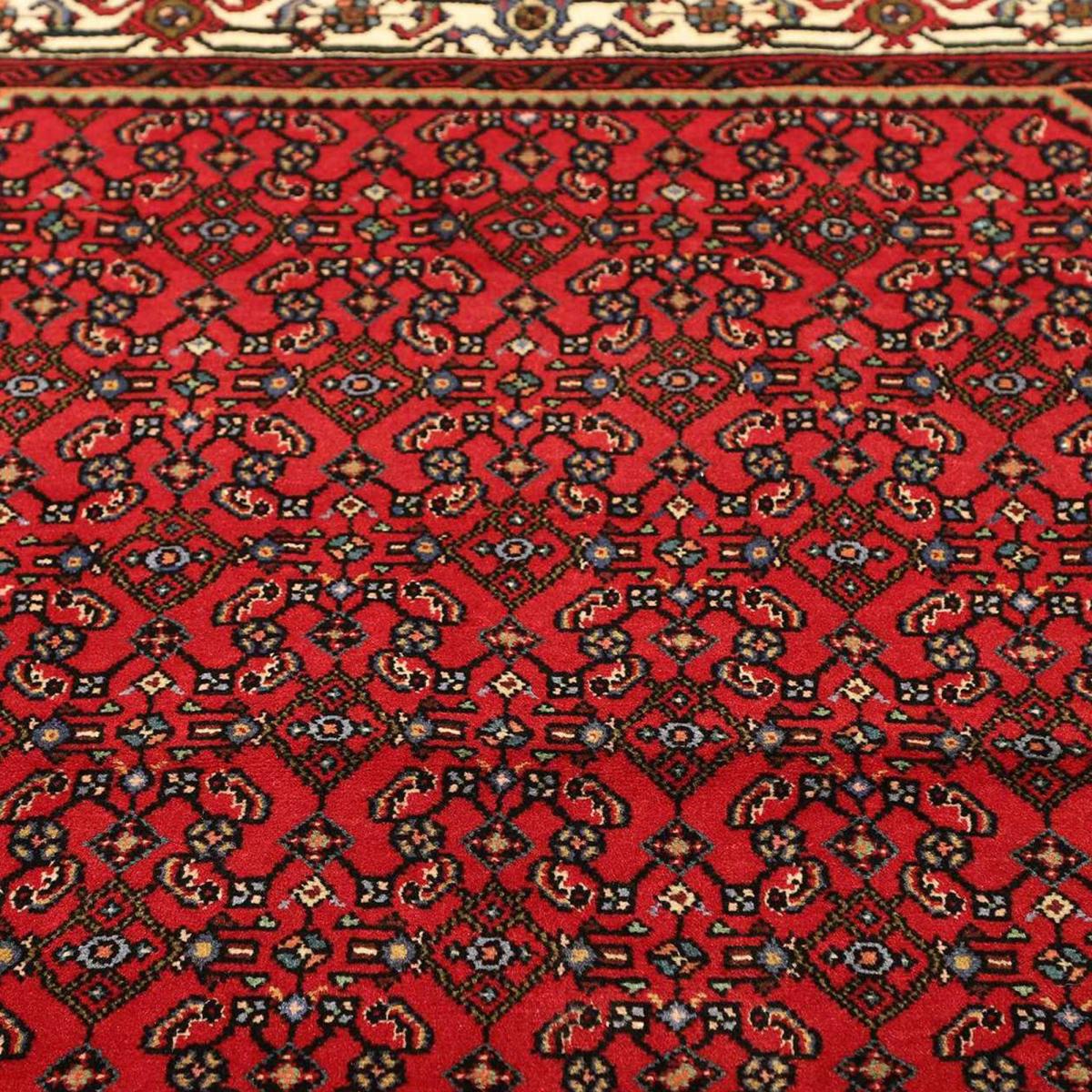 Tapis d'orient au motif oriental, noué main en laine, HAMADAN 21 rouge, crème, noir, UN AMOUR DE TAPIS