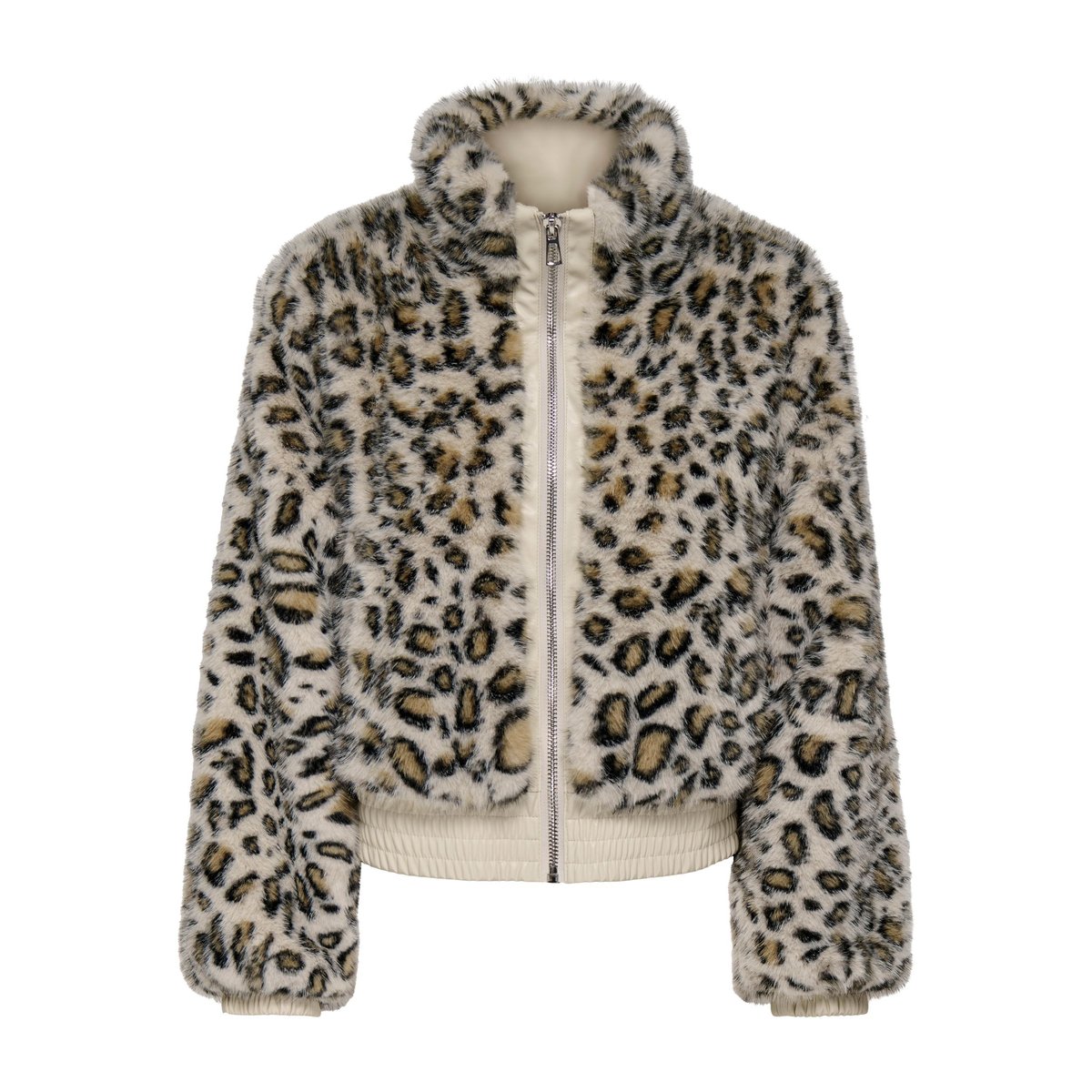 Veste island fossil, ONLY