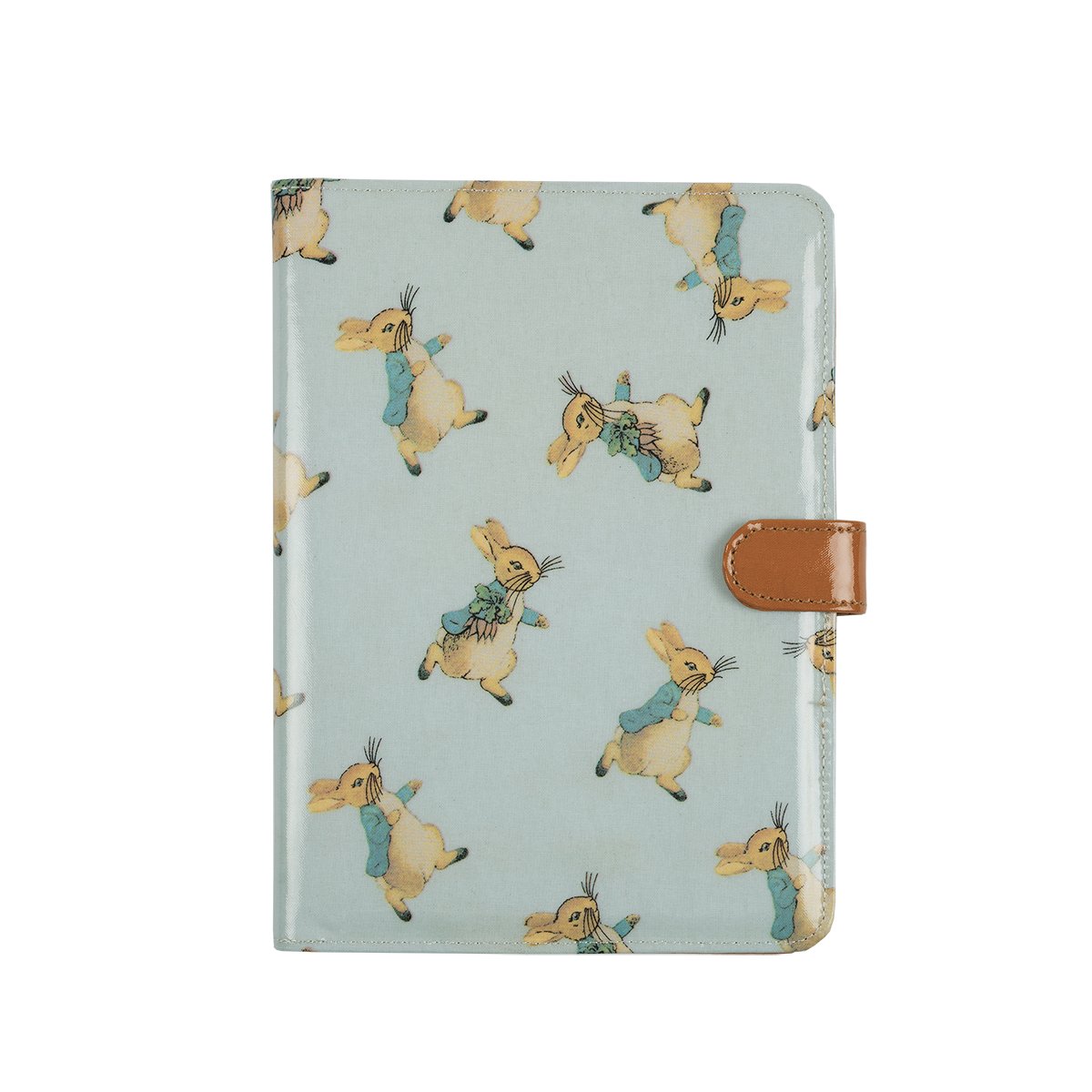 Protège carnet de santé PIERRE LAPIN multicolore, PETIT JOUR