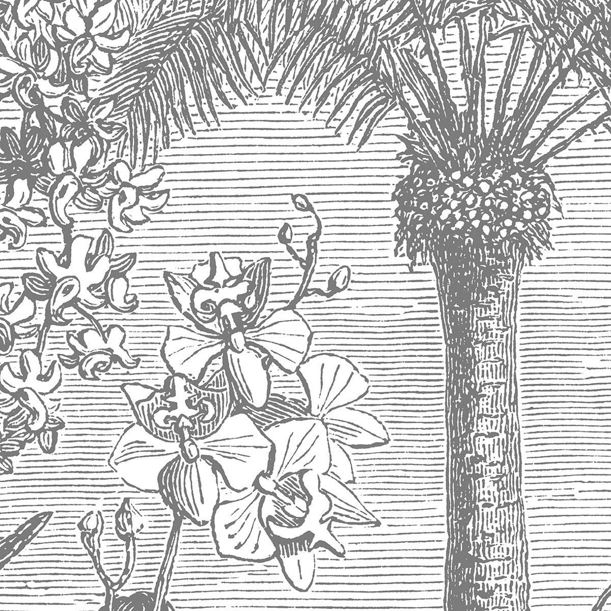 Papier peint panoramique Amabilis - motif botanique exotique 192x300 cm brun, LE PAPIERS DE NINON