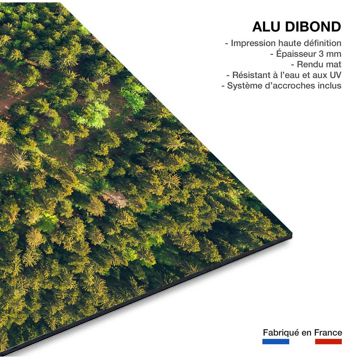 Tableau l' aventure tableau alu dibond, HEXOA