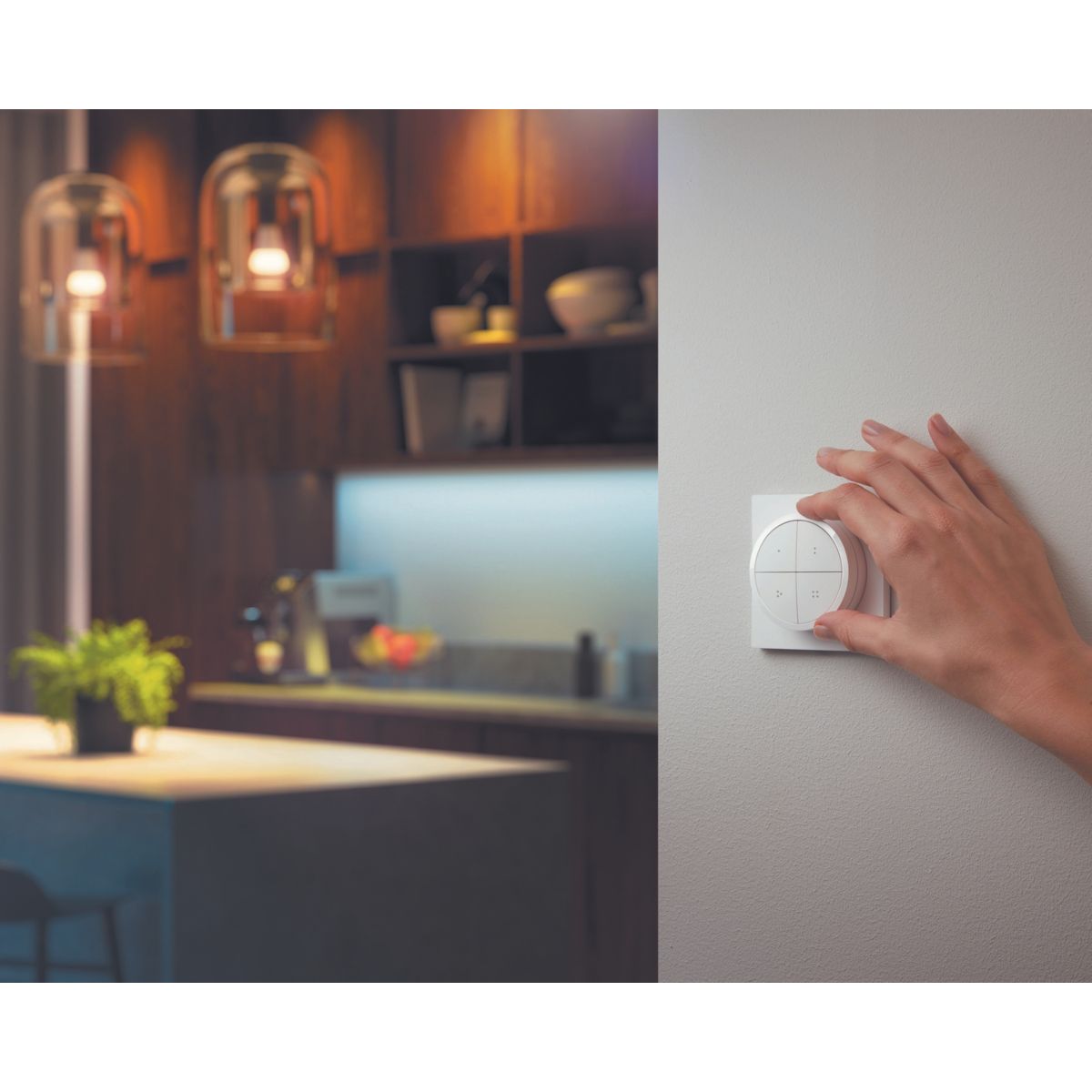 Interrupteur Tap dial switch Blanc blanc, PHILIPS HUE