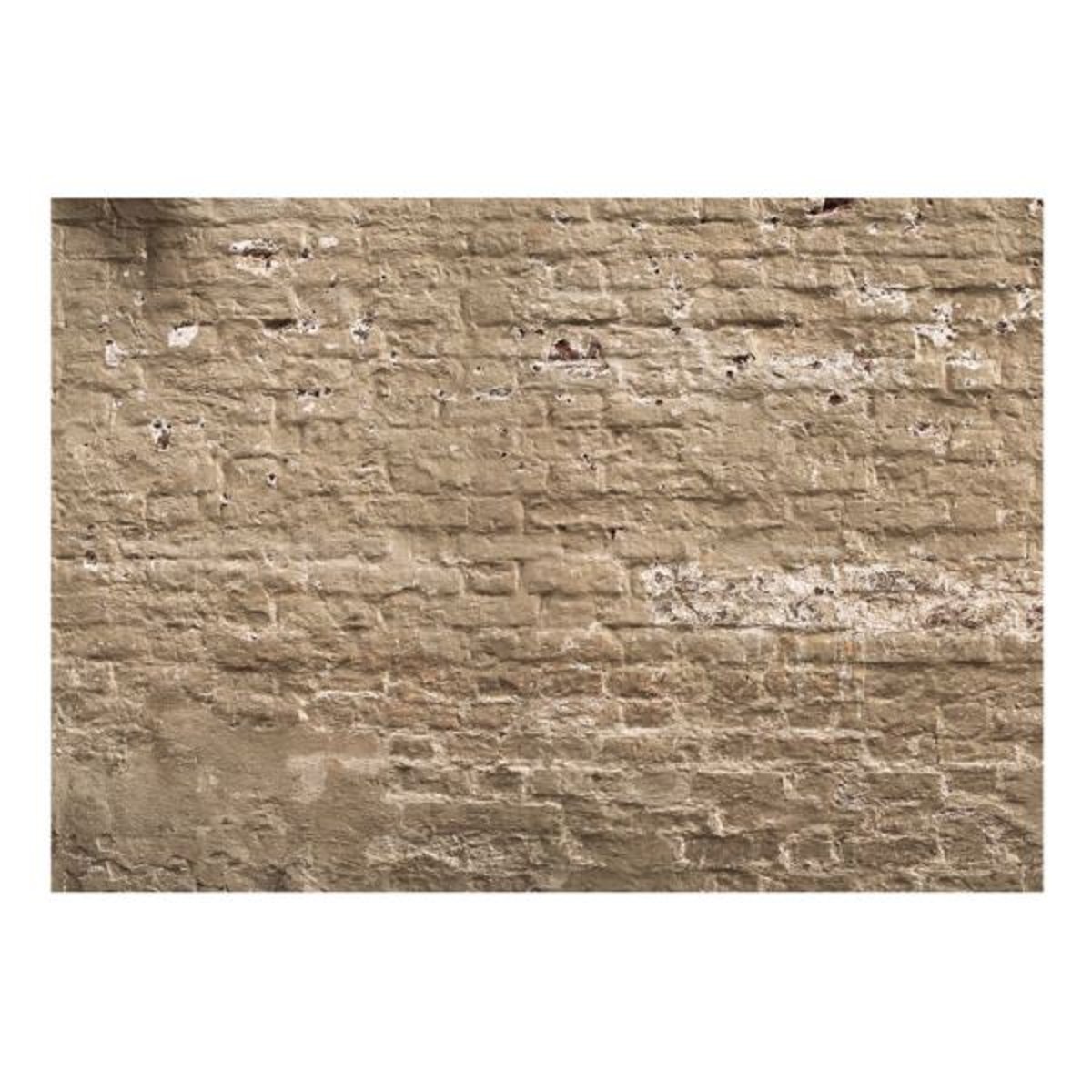 Papier peint intissé panoramique Urban Oasis beige, EDEN