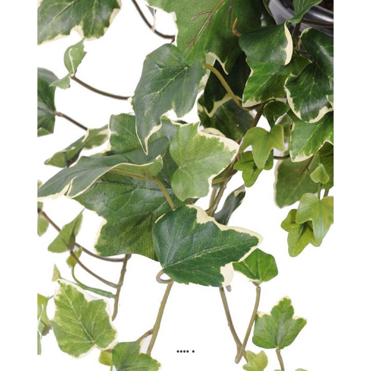 Guirlande de lierre anglais artificiel, blanc-vert, ARTIFICIELLES