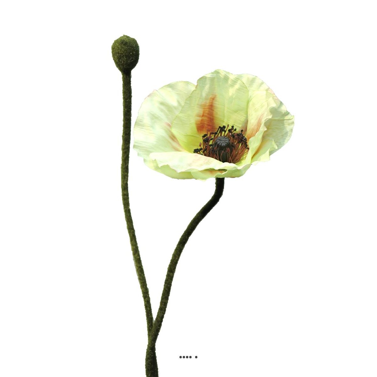 Pavot factice H60cm 1 fleur & 1 bouton Super crème vert, ARTIFICIELLES
