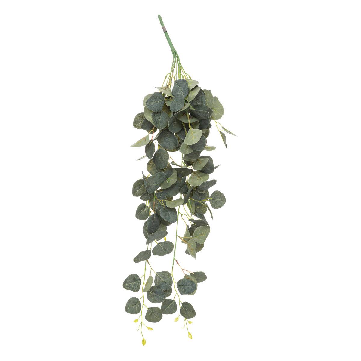 Plante artificielle tombante d'eucalyptus vert, ATMOSPHERA