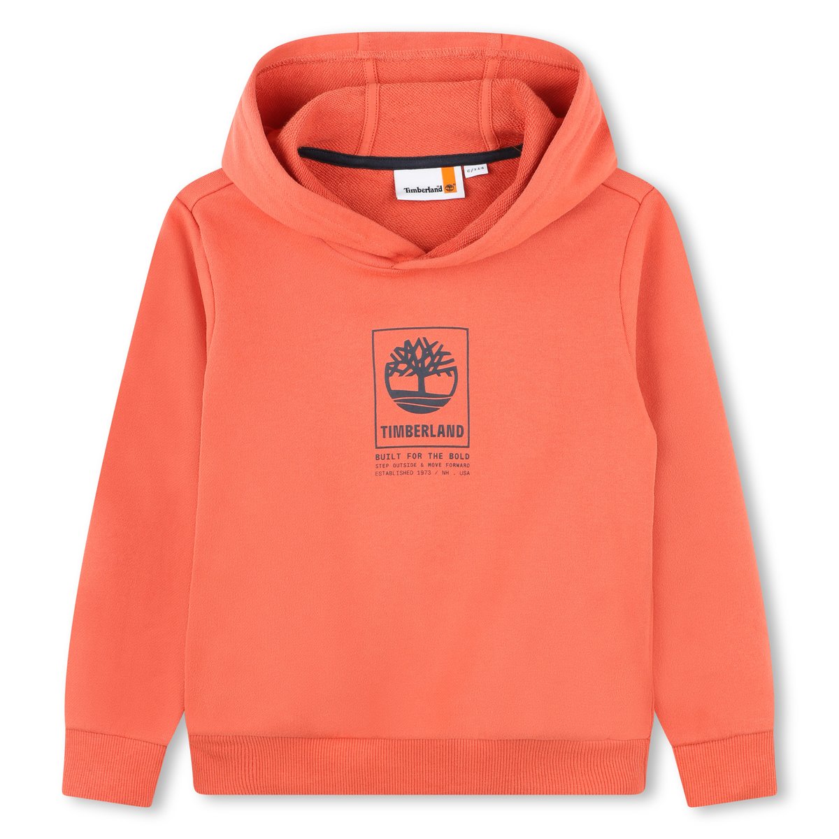 Sweat-shirt molleton à capuche baie d'hiver delave, TIMBERLAND