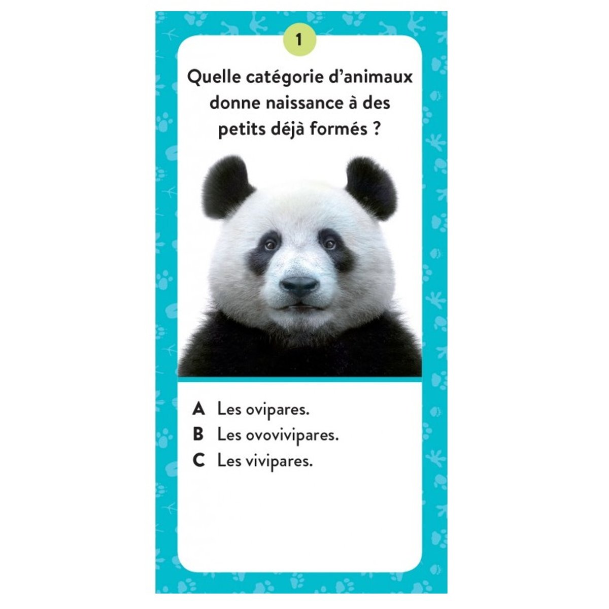 Méga Atlas des Animaux bleu, SASSI JUNIOR