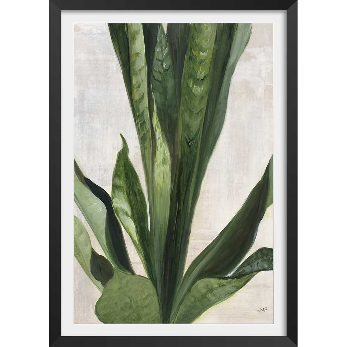 Poster Sanseveria aquarelle affiche + cadre en bois - noir, HEXOA