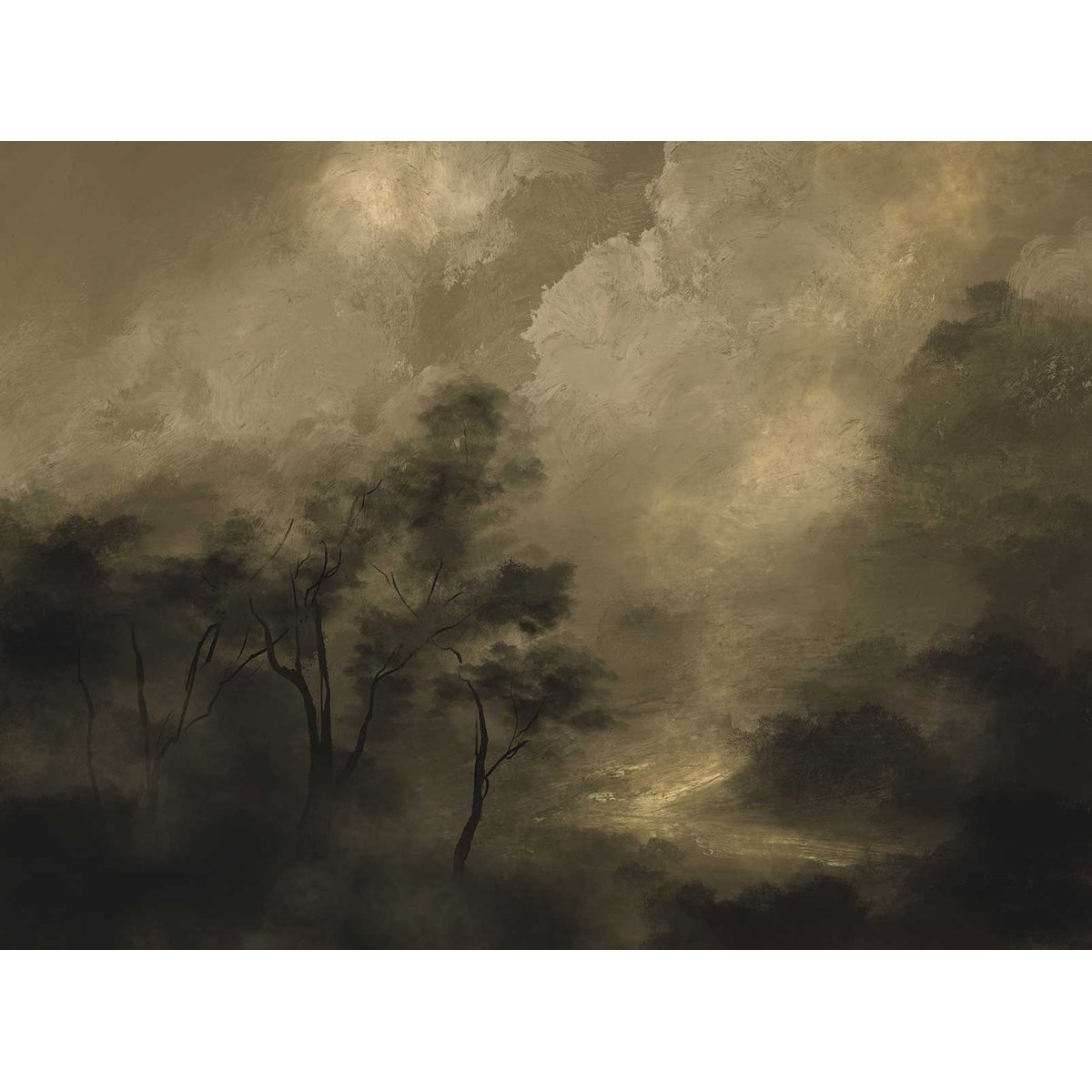Papier peint paysage en nature morte intissé, HEXOA