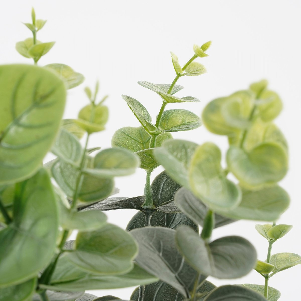 Plante artificielle EUCALYPTUS vert, MICA DECORATIONS