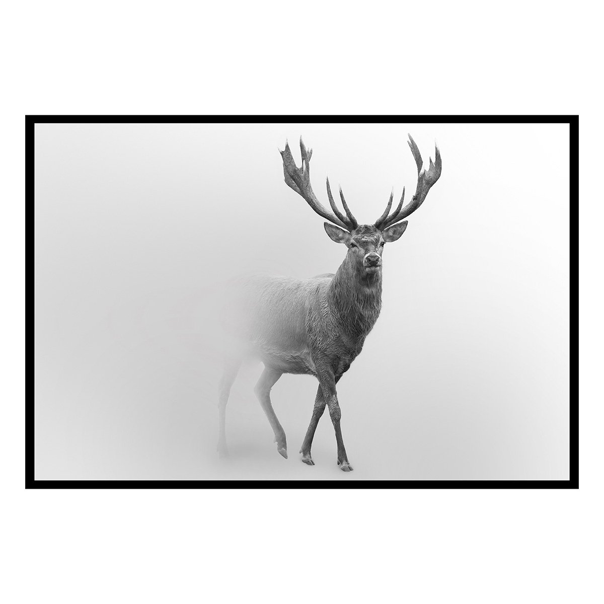 Affiche encadrée cerf en noir et blanc dans la brume affiche + cadre en métal - noir, HEXOA