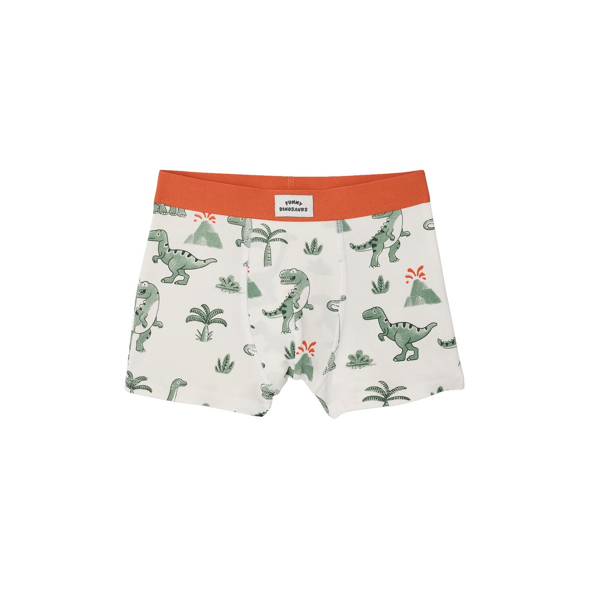 Lot 5 boxers dino encre, VERTBAUDET
