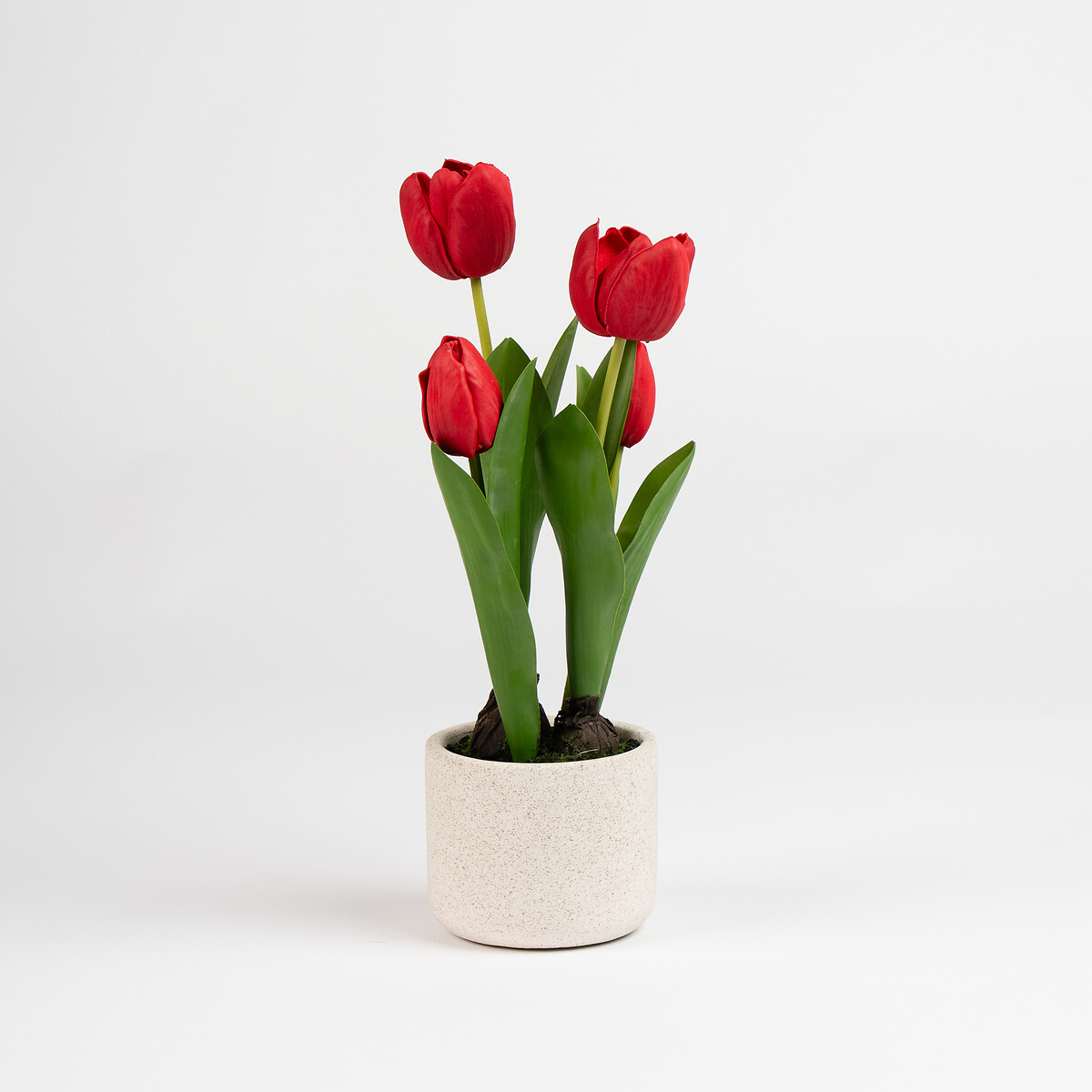 38cm Tulip Arrangement in Cement Pot red, SO'HOME