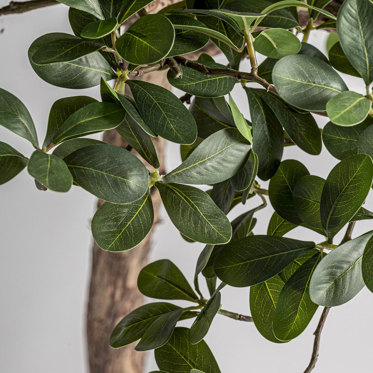 Ficus décoratif en bois fait main vert et marron, RECOLLECTION