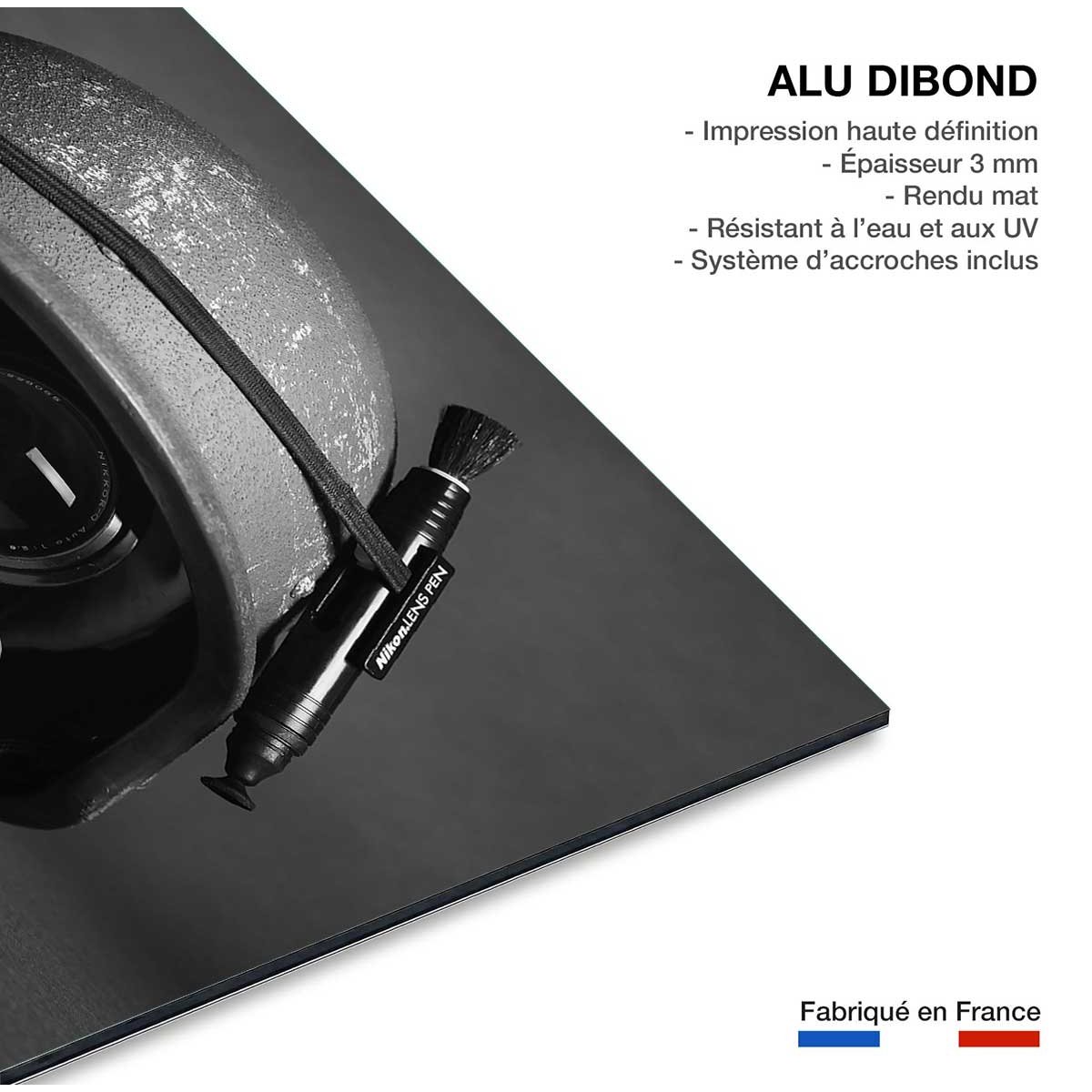 Tableau reporter de guerre tableau alu dibond, HEXOA