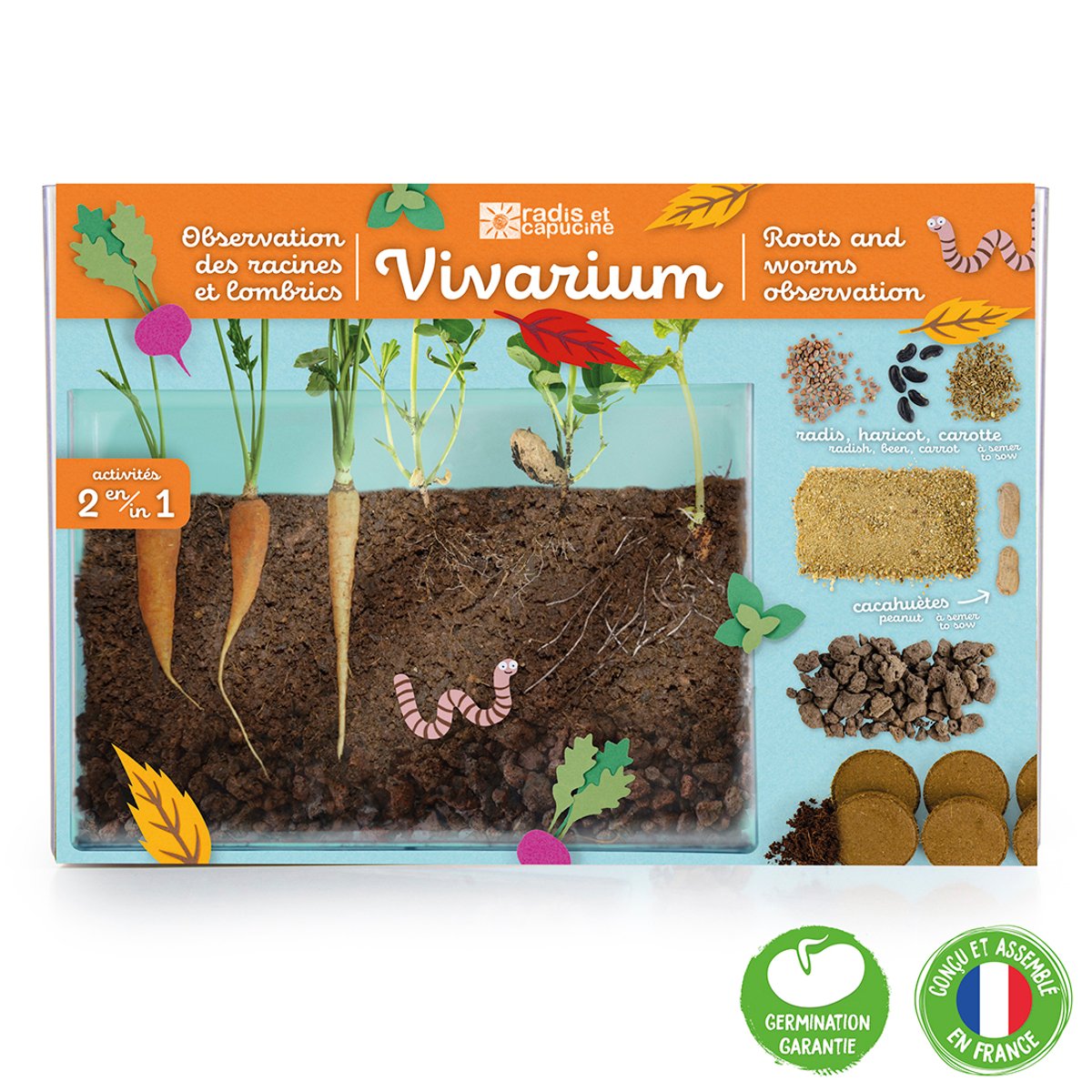 Vivarium Observation racines et vers de terre marron, RADIS ET CAPUCINE