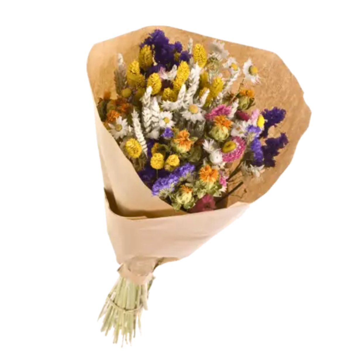 Bouquet de Fleurs séchées Prestige Mix couleurs 50 cm couleur unique, NATURALYS