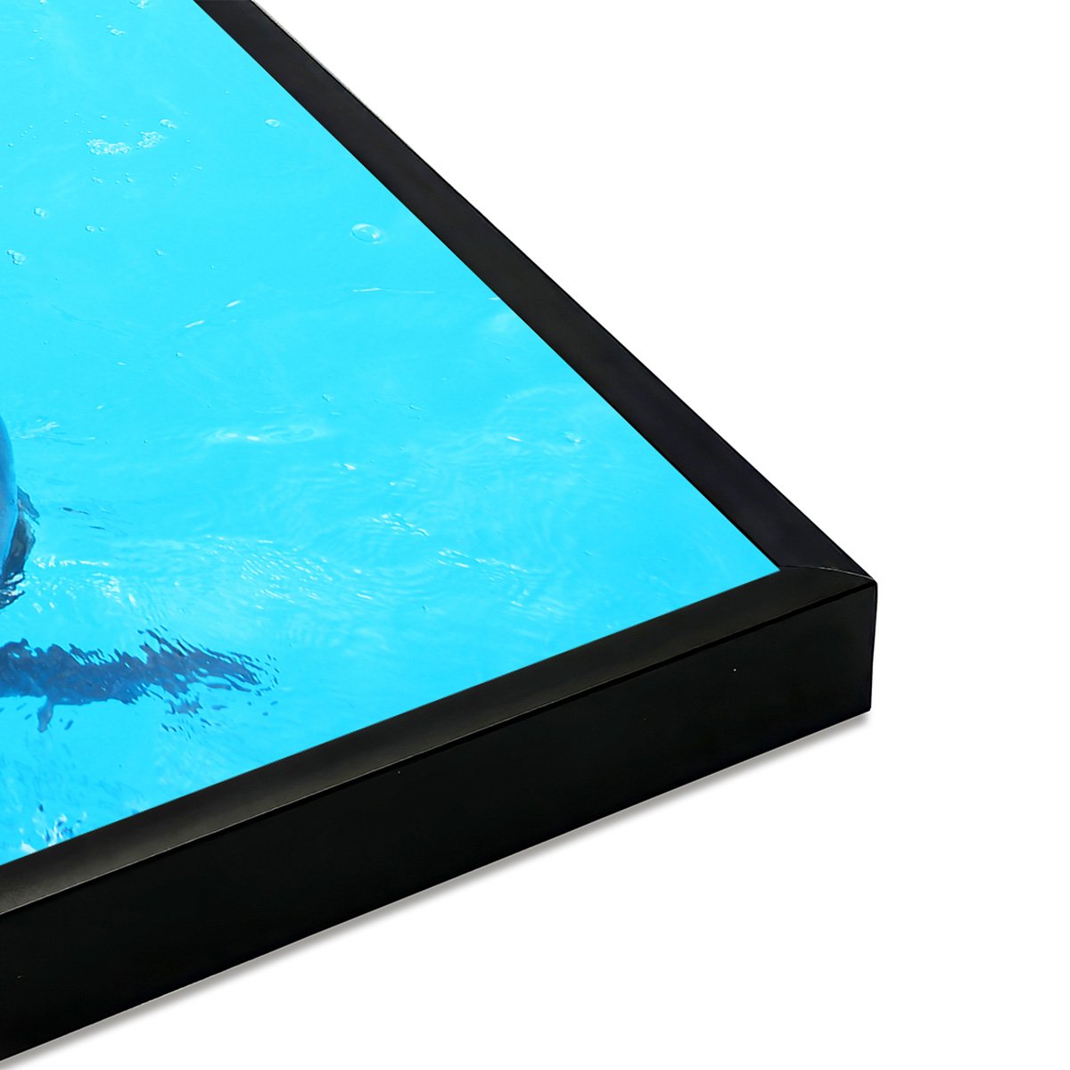 Affiche encadrée dauphins sous l’eau affiche + cadre en métal - noir, HEXOA