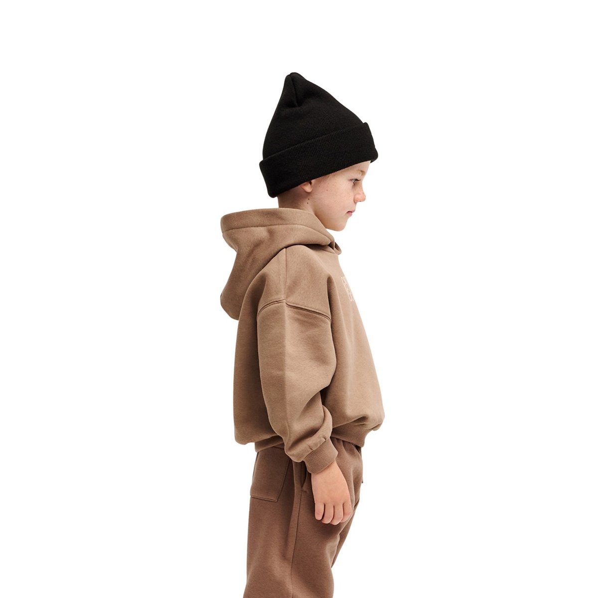 Sweat capuche TRICKS marron pine bark, QUIKSILVER