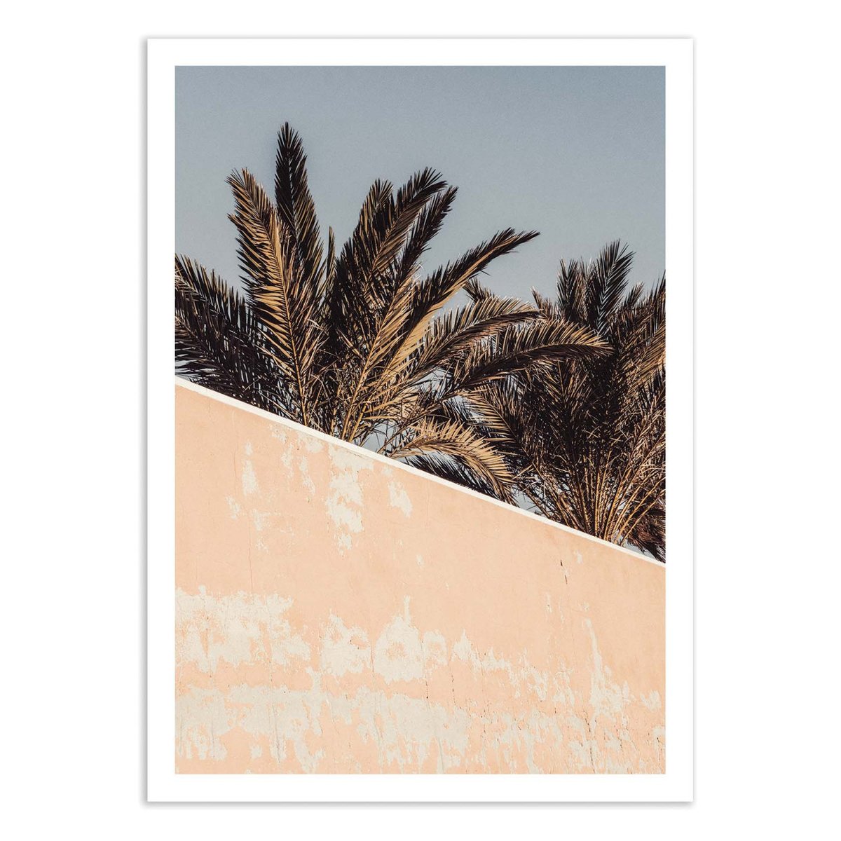 Affiche d'art - Palm - Pictufy Studio III couleur unique, WALL EDITIONS