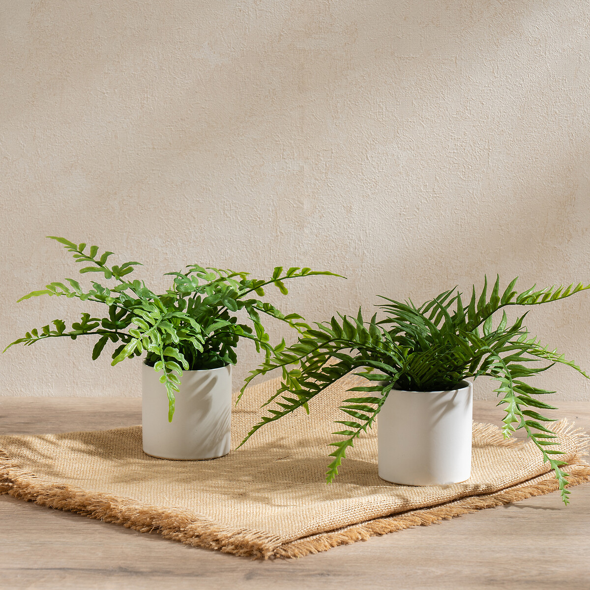 Set of 2 Ferns in White Ceramic Pot green, SO'HOME