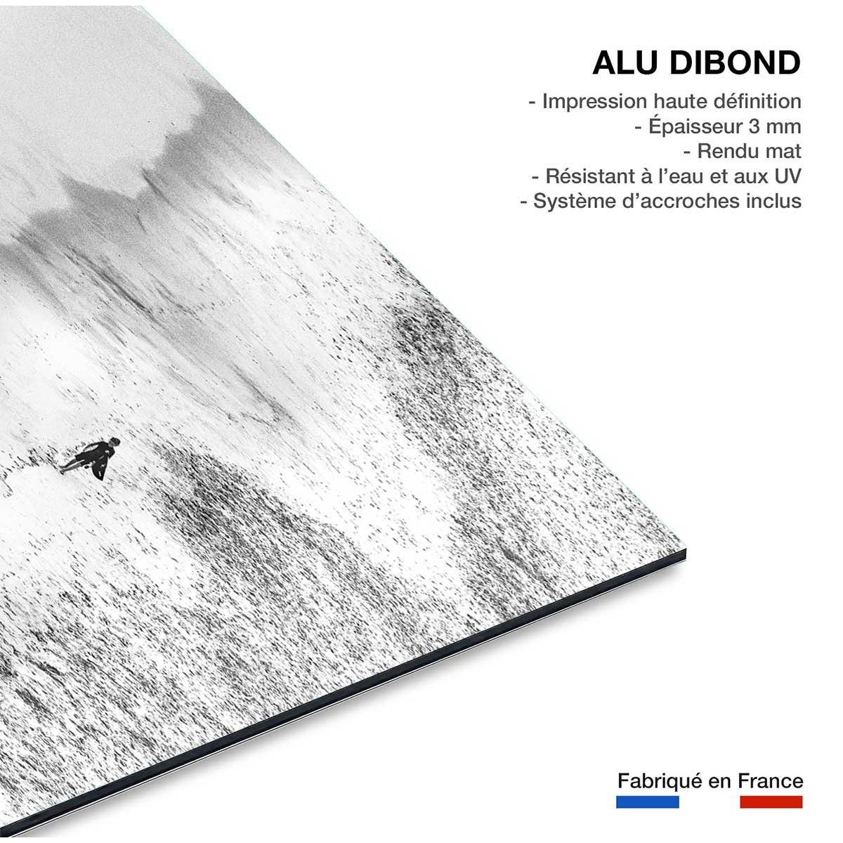 Tableau beach surf tableau alu dibond, HEXOA
