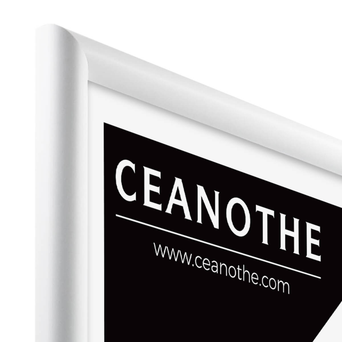Cadre Photo Exposition En Bois Massif Fsc ESSENTIEL blanc, CEANOTHE