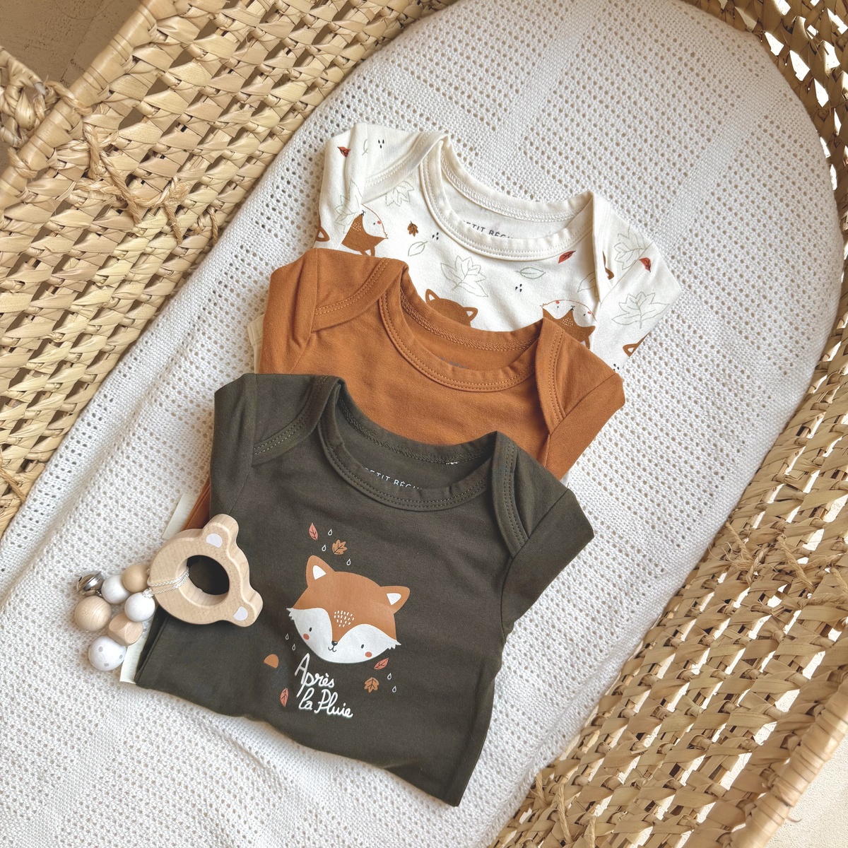 Lot de 3 bodies bébé manches longues Ginkgo vert, PETIT BEGUIN