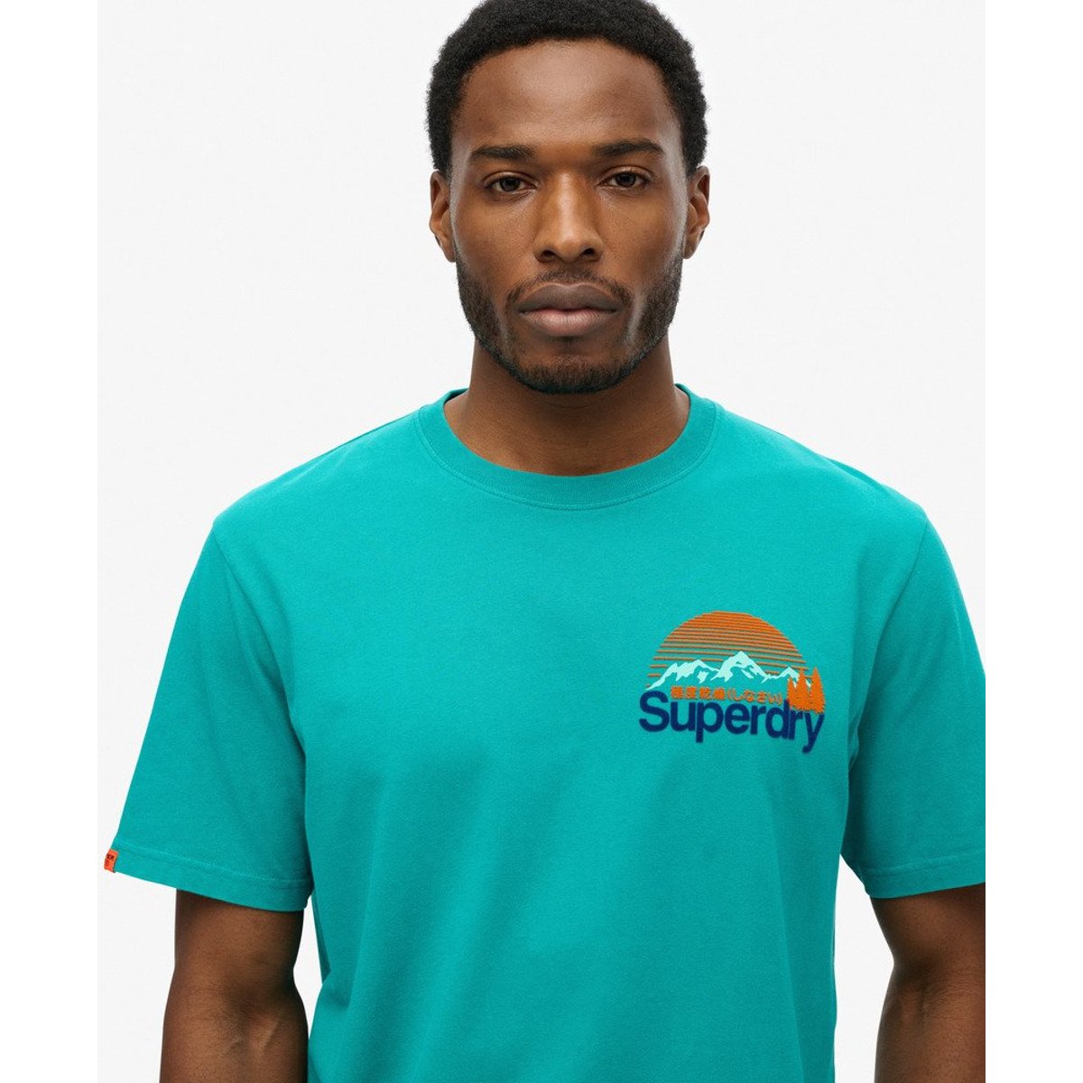 T-shirt Core Logo Great Outdoors Chest bleu verdure, SUPERDRY