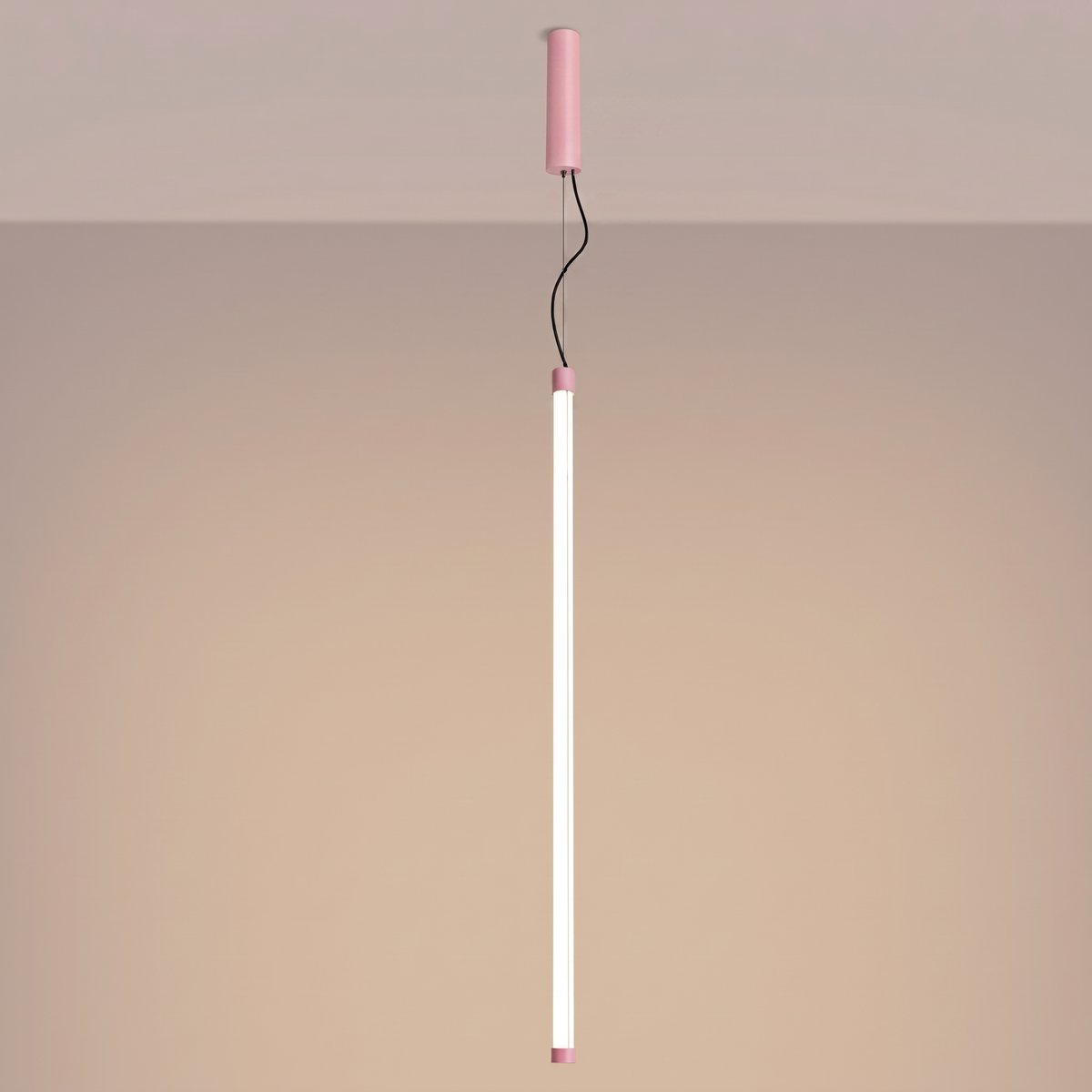 Suspension Acier Rose LED 1 Trang rose, EDEN