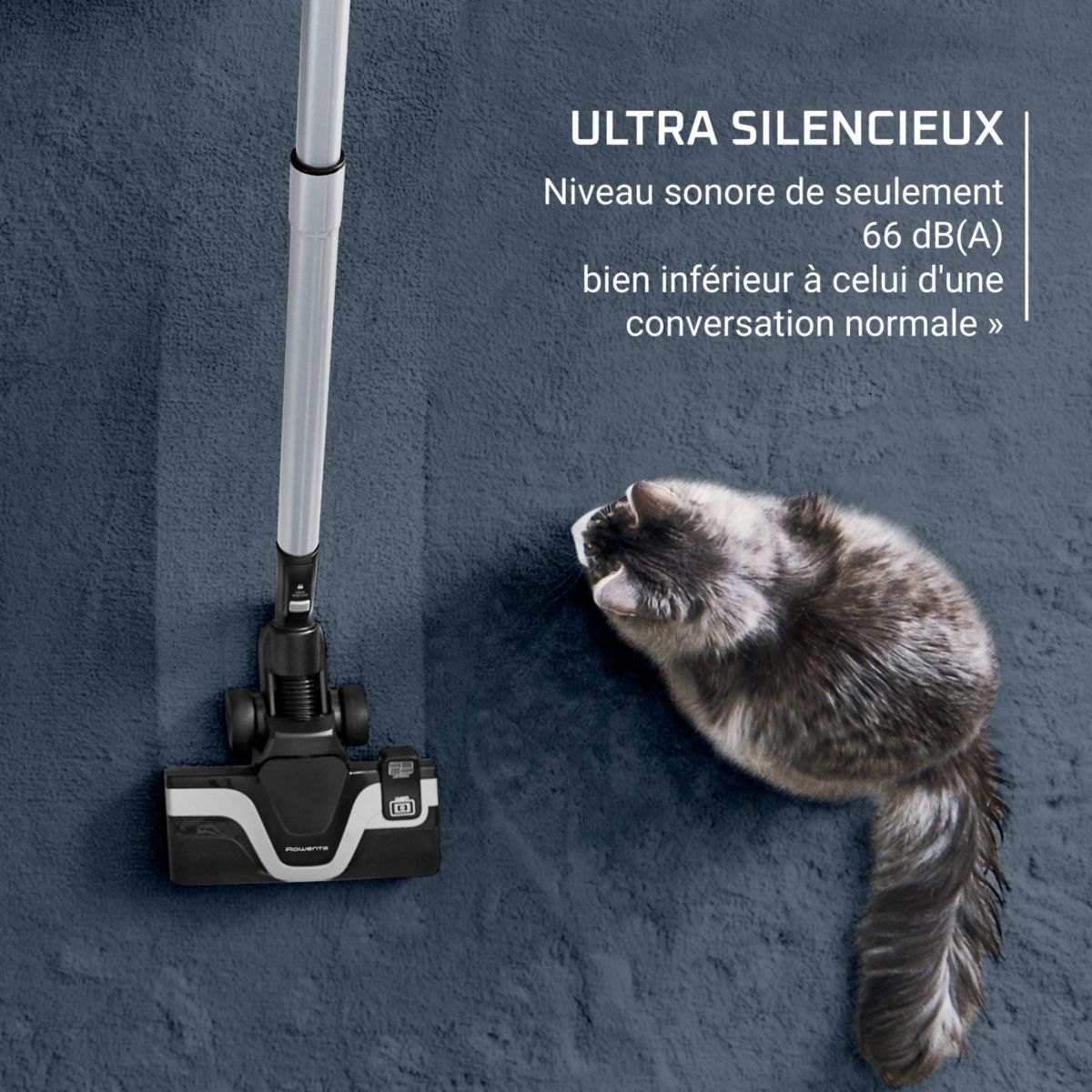 Aspirateur sans sac Green force cyclonic effitech+ RO7C71EA couleur unique, ROWENTA