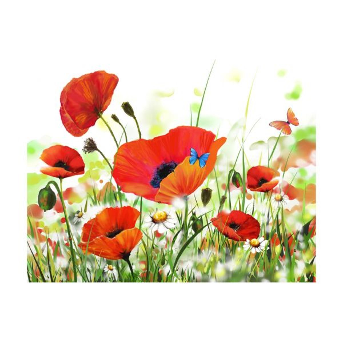 Papier peint intissé panoramique Fleurs Country poppies multicouleur, EDEN