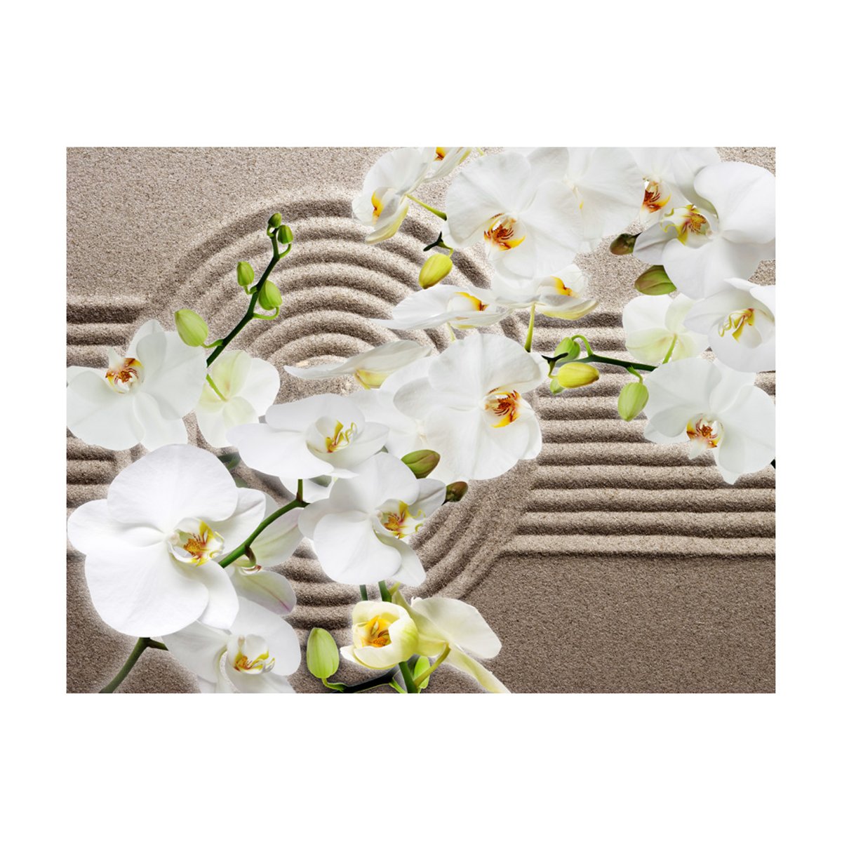Papier peint intissé panoramique Orient Beautiful Zen Garden beige, EDEN
